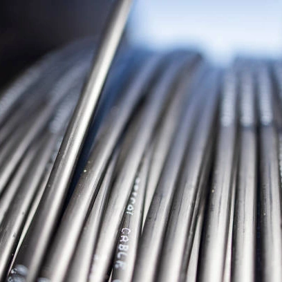 Flexible Hydraulic Hose with 2 Wire Braid