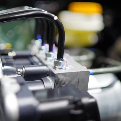 istockphoto 1626215030 612x612 1