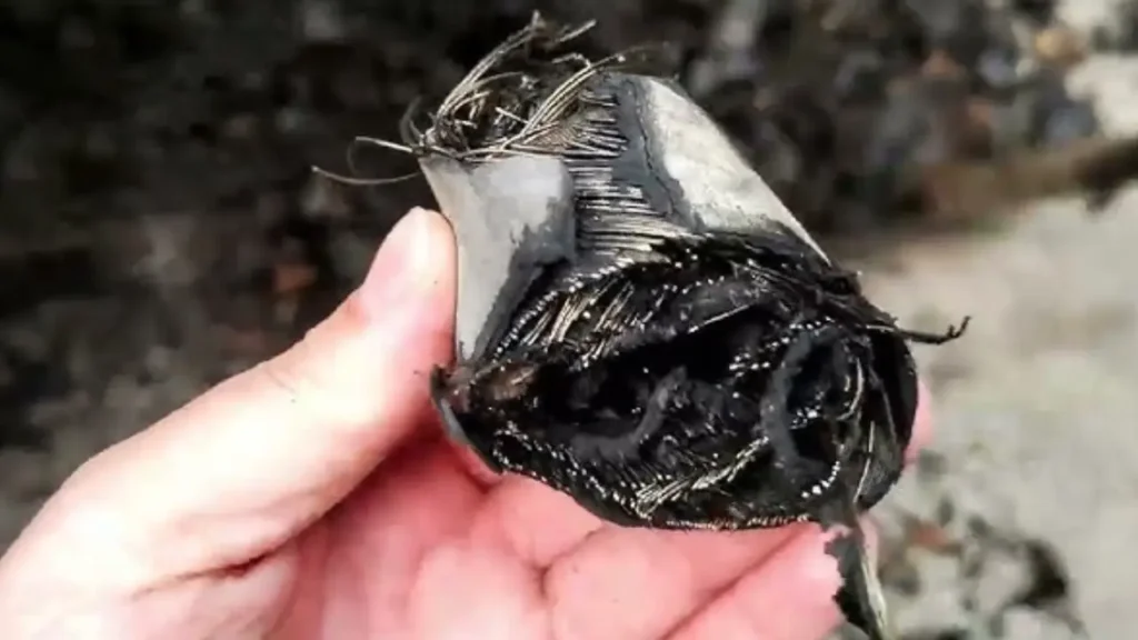 how to do with waste rubber hoses